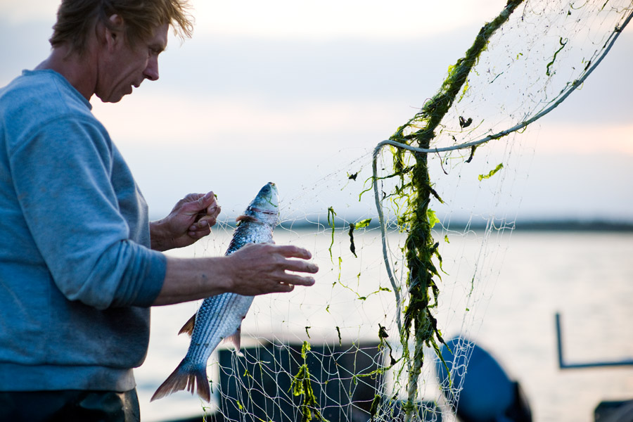 End of Fish Day — Slow Food Deutschland